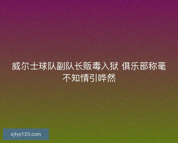威尔士球队副队长贩毒入狱 俱乐部称毫不知情引哗然